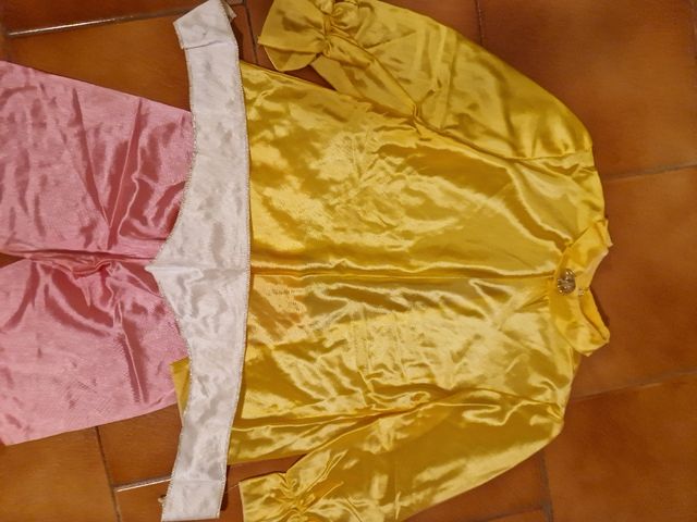 Vestito carnevale da odalisca 10/11 anni