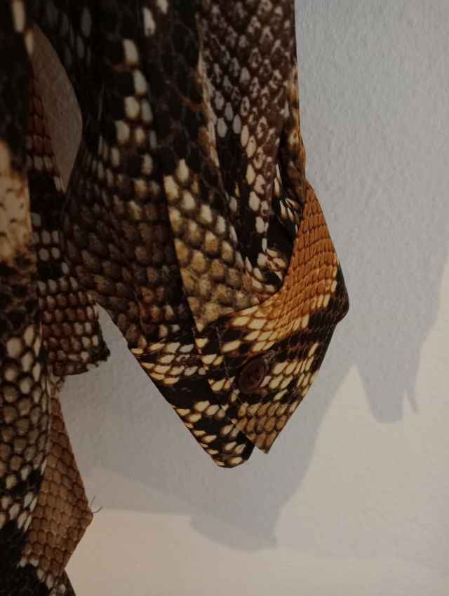 Camisa animal print de Zara