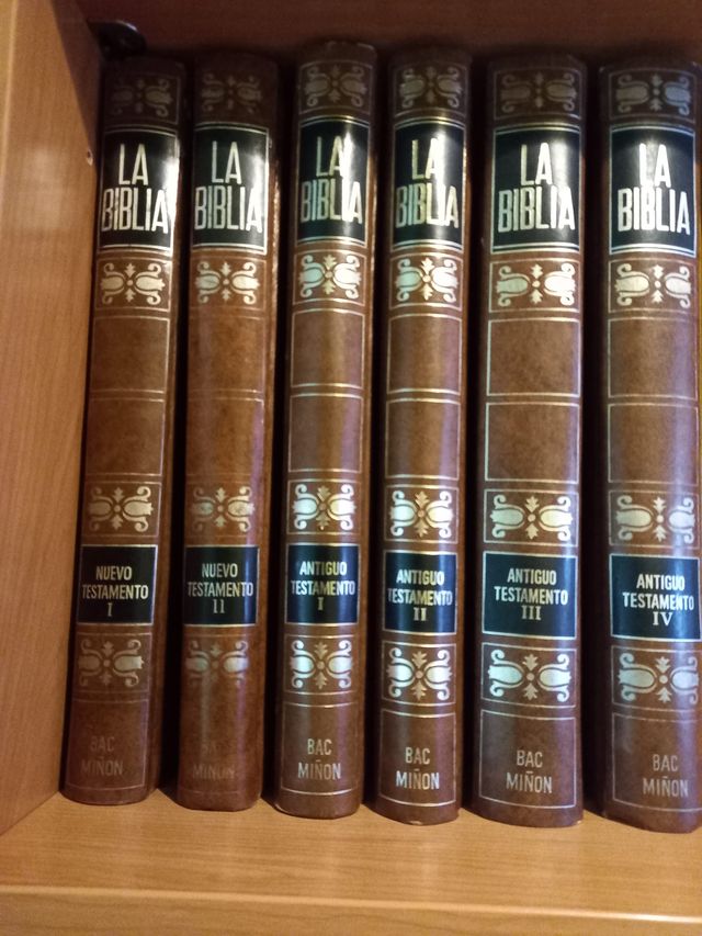 Biblia por fascìculos encuadernada