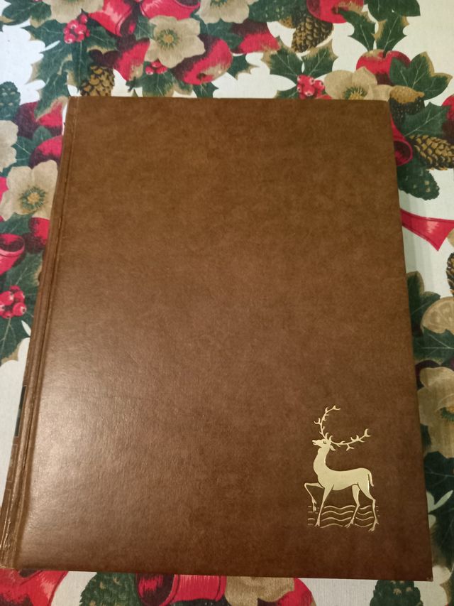 Biblia por fascìculos encuadernada