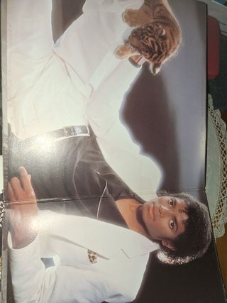 Vinilo Michael Jackson Thriller