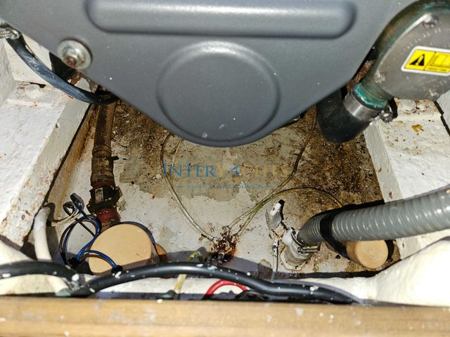 SUN MAGIC 44 EN VENTA