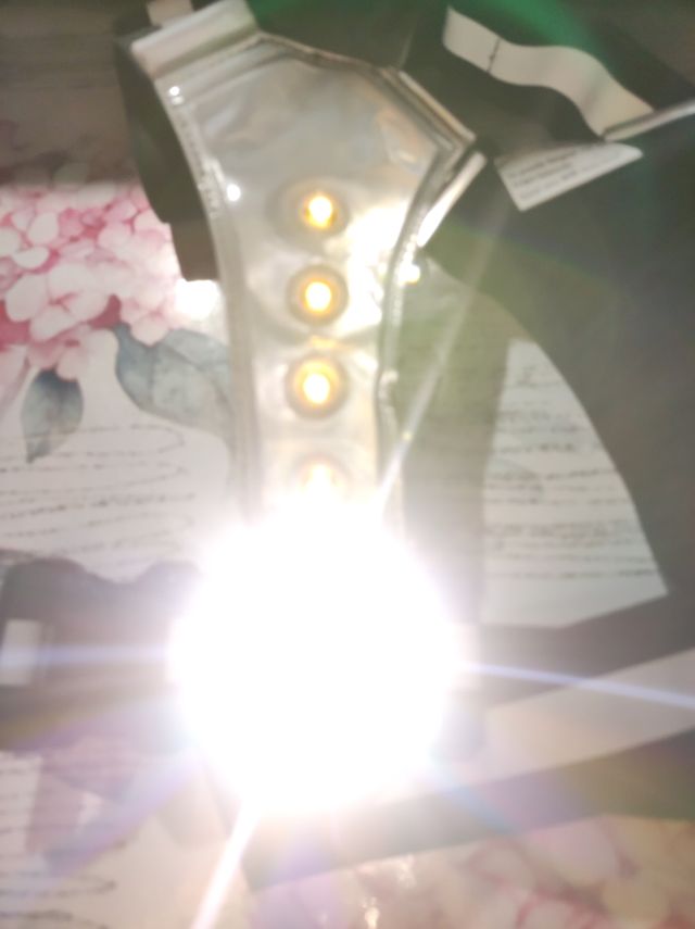 Chaleco reflectante luz