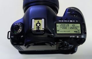 Canon 5d Mark IV (cuerpo+grip original)