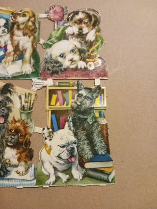 Lamina troquelada cromos 