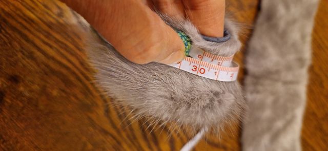 Collo e polsini in pelliccia grigia