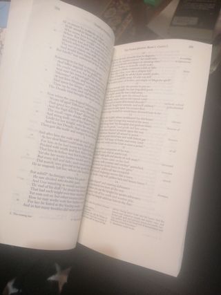 Libro literatura ingles