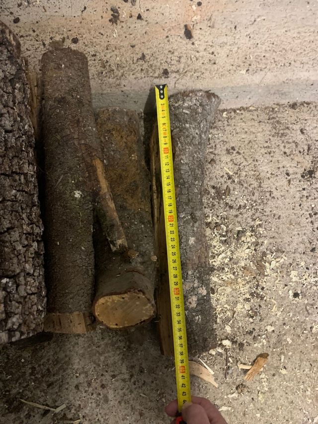 llenya de anzina I roble