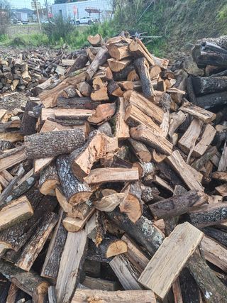 llenya de anzina I roble