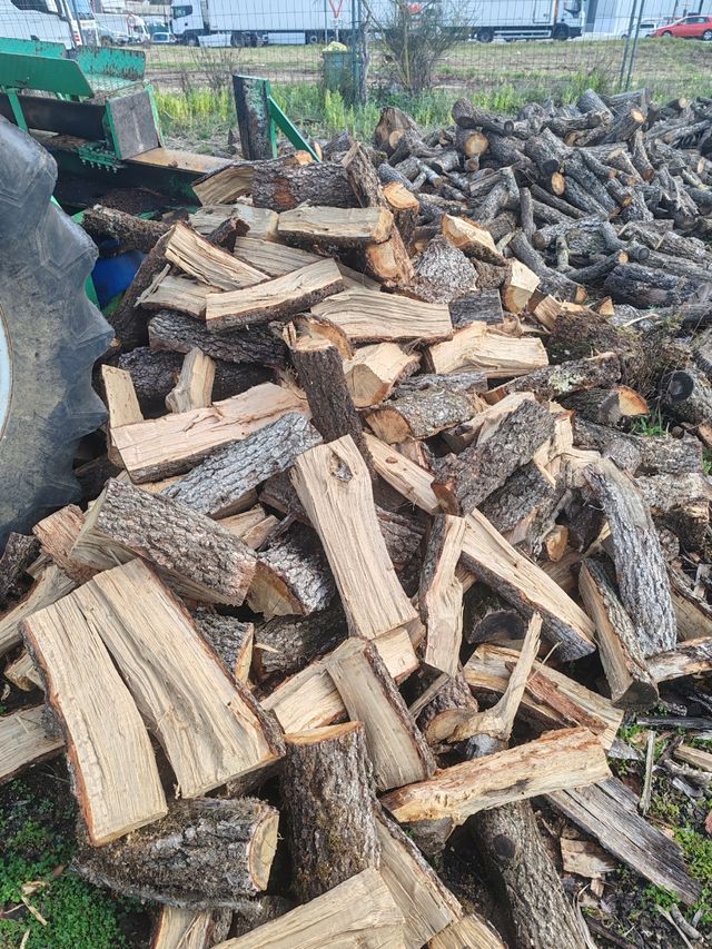 llenya de anzina I roble