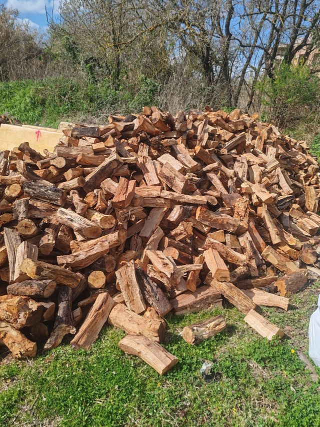 llenya de anzina I roble