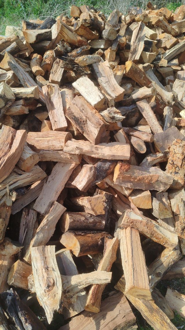 llenya de anzina I roble