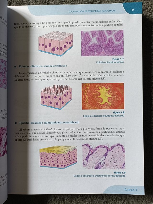 Fisiopatología general