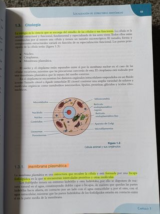 Fisiopatología general