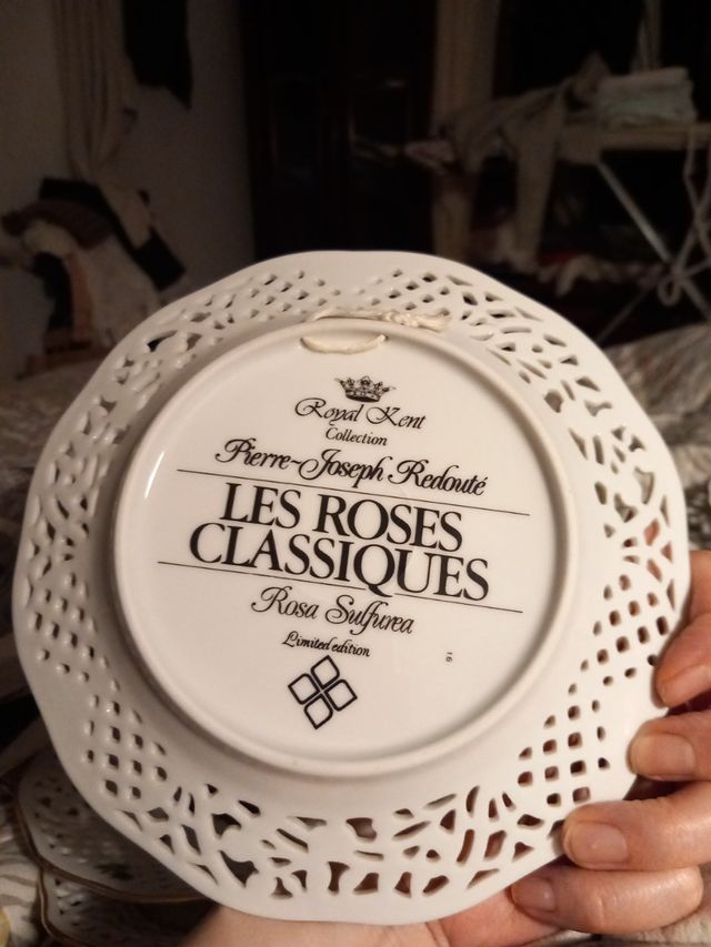 Royal  kent  les Roses Classiques