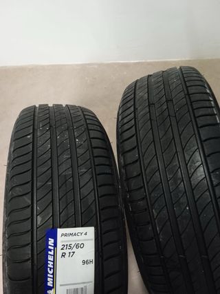 Neumaticos Michelin dispongo de 4 neúmaticos