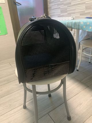 transportin para perro