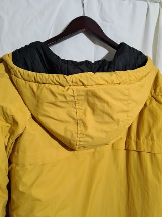 Pull bear 