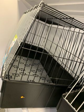 transportín perro mediano