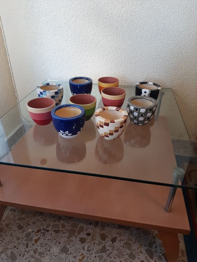 Lote 10 Maceta/tiesto para cactus