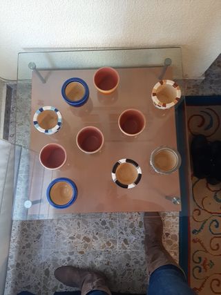 Lote 10 Maceta/tiesto para cactus