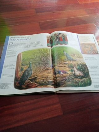 Enciclopedia visual de las preguntas.