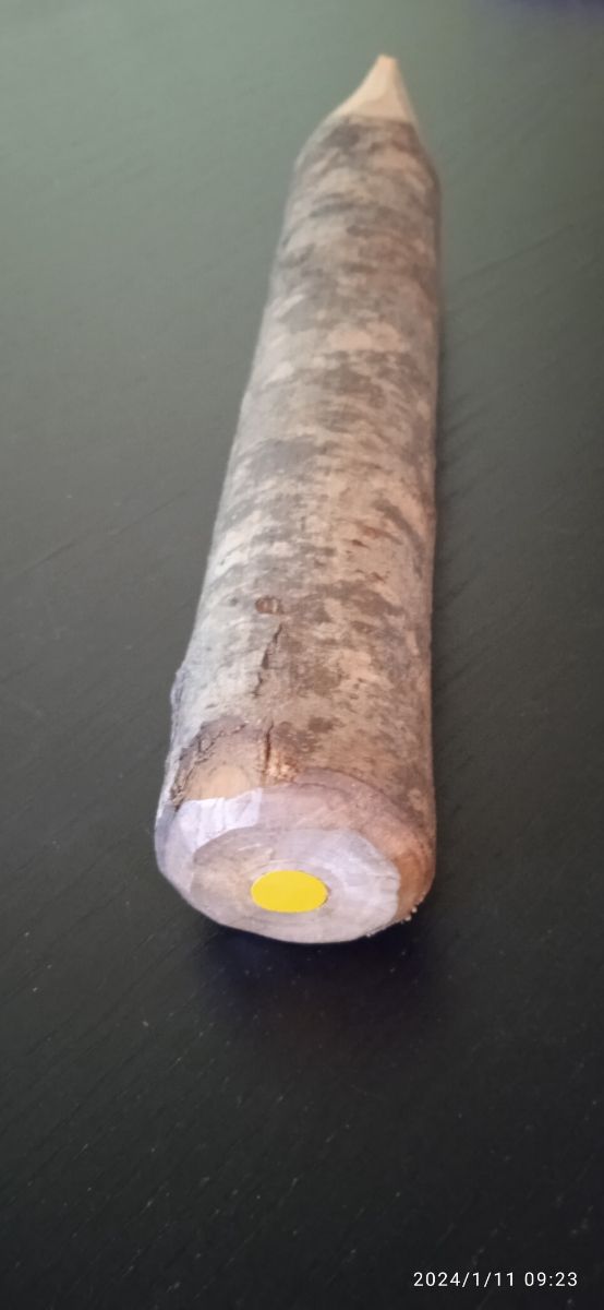 Matita grande in legno ✏️