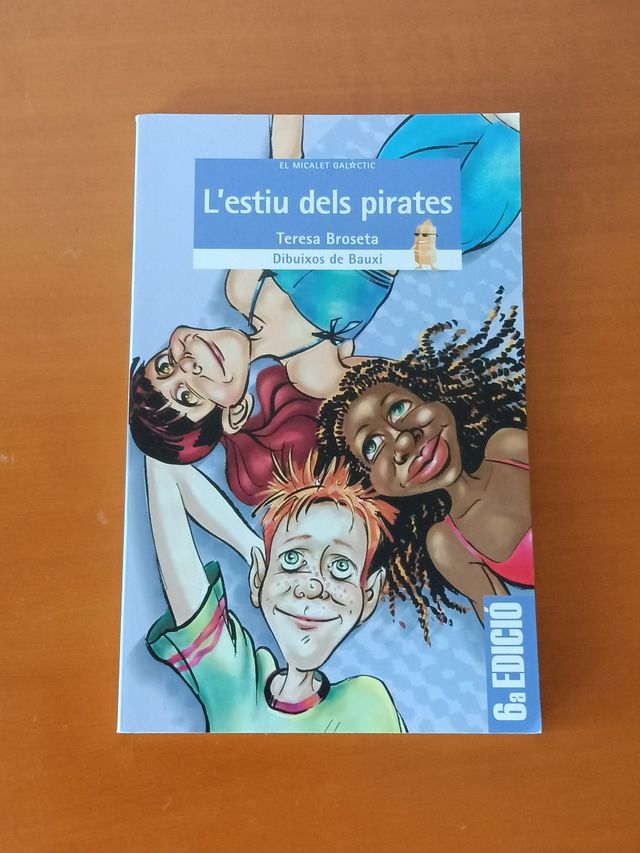 L'estiu dels pirates