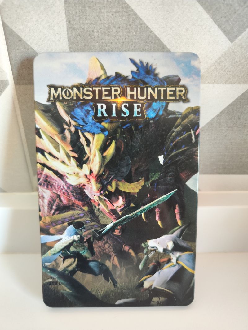 Imagen de Monster Hunter Rise