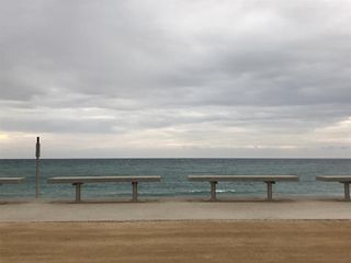 Clases de Yoga- Parque de la Alameda