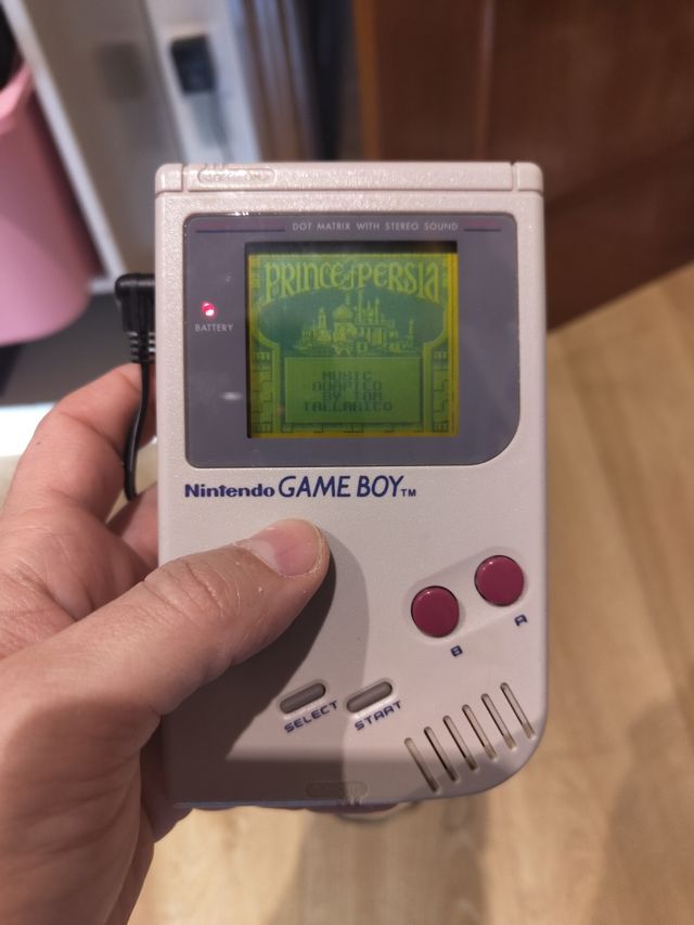 Game Boy Clásica +juegos + accesorios