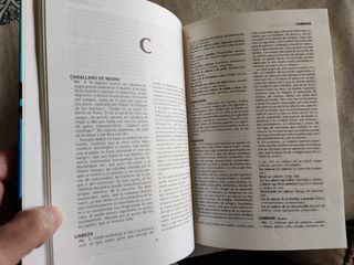 DICCIONARIO DE SUEÑOS - MAGO FÉLIX