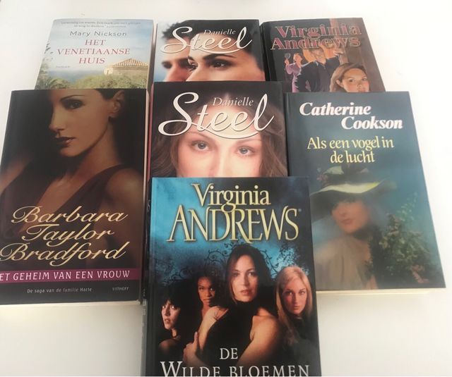 Lote novelas en holandés