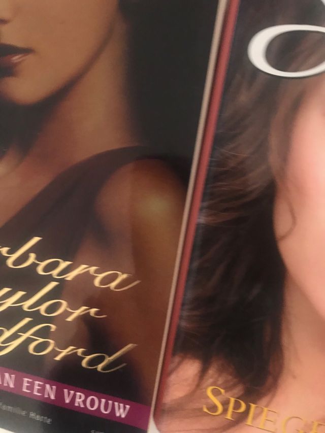 Lote novelas en holandés