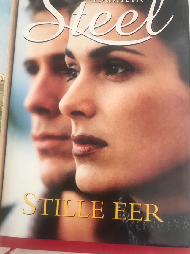 Lote novelas en holandés