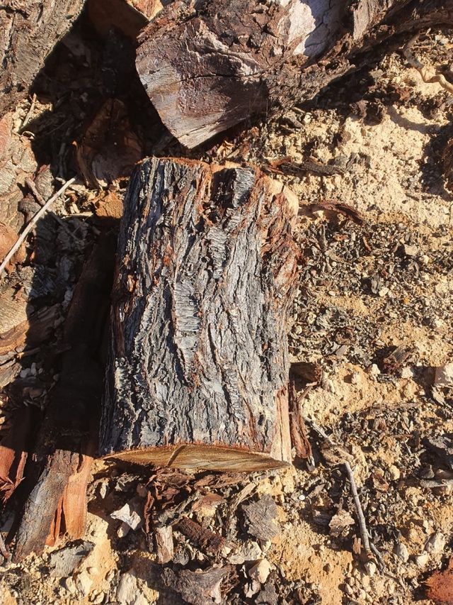 legna da ardere di buona qualità