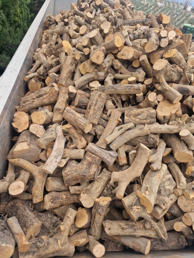 legna da ardere di buona qualità