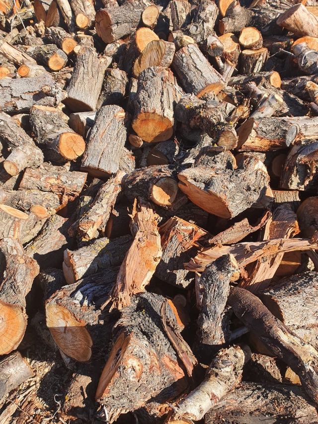 legna da ardere di buona qualità