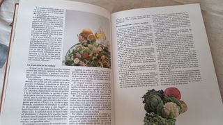 Lote 12 libros recetas cocina