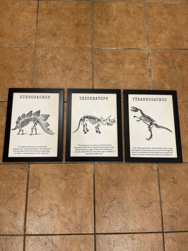 cuadros dinosaurios