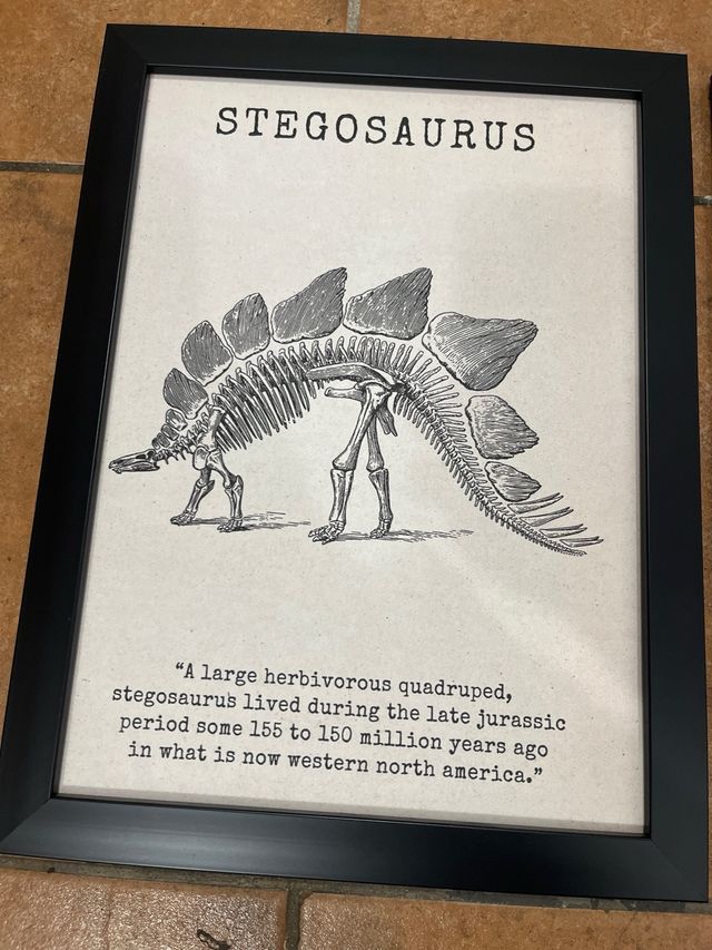 cuadros dinosaurios