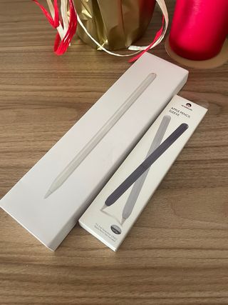 Pencil para iPad