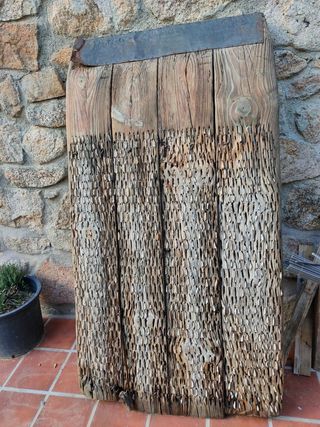 Trillo pequeño 