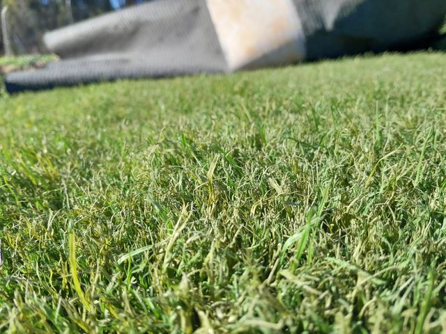 🍀Césped artificial reciclado 🍀