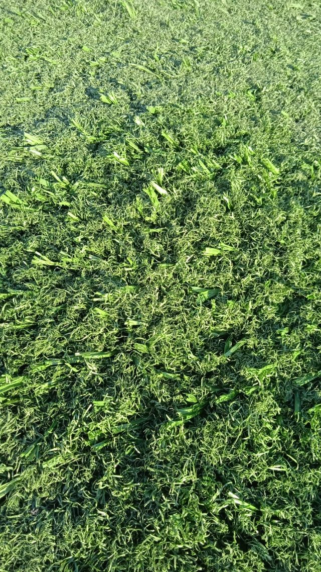 🍀Césped artificial reciclado 🍀