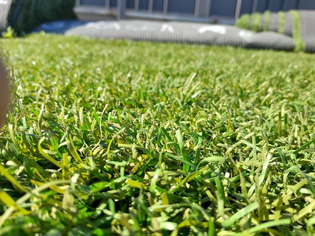 🌿Césped artificial reciclado 🌿