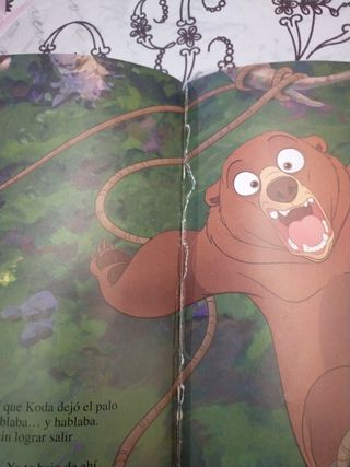 Libro Disney