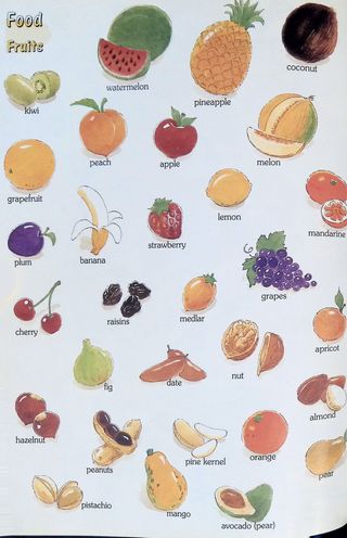 DICCIONARIO BASICO ILUSTRADO ESPAÑOL-INGLES