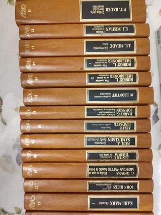 Enciclopedia práctica de economía