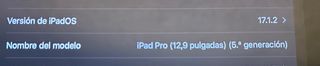 iPad pro 12,9”256Gb